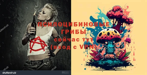 гидропоника Покачи